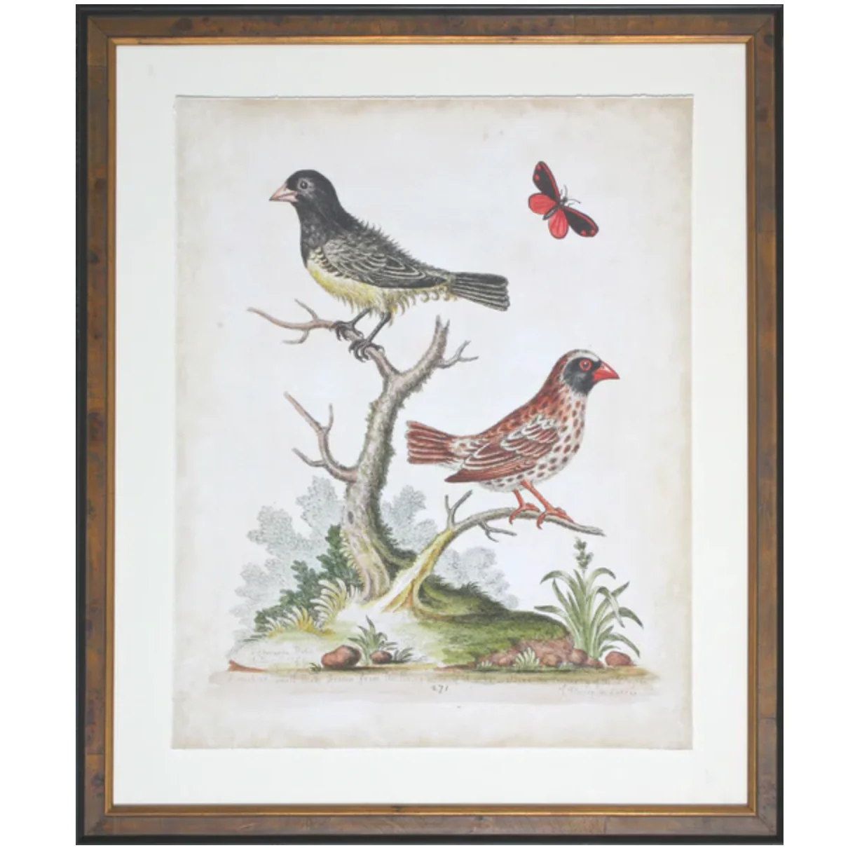 Edwards Birds I