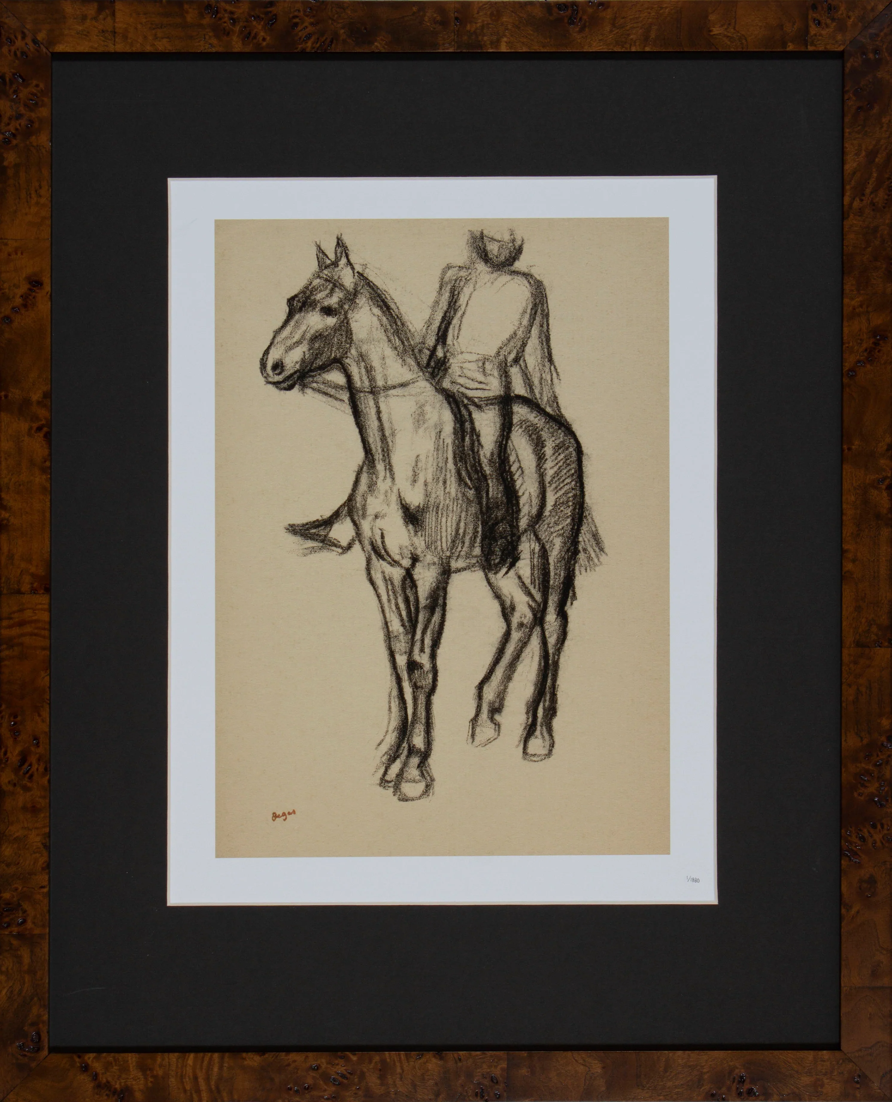 Horse & Rider