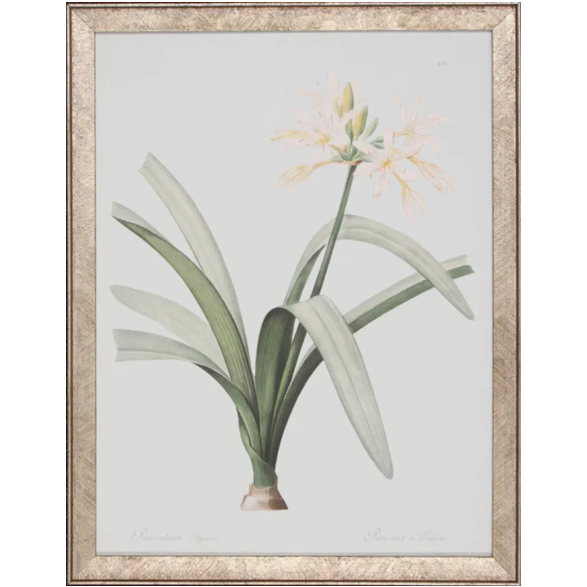 Illyricum