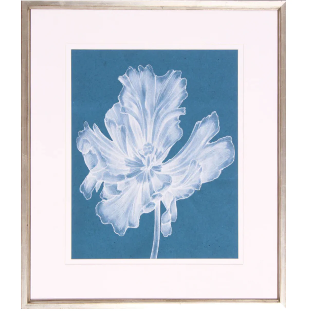 Monochrome Tulip II