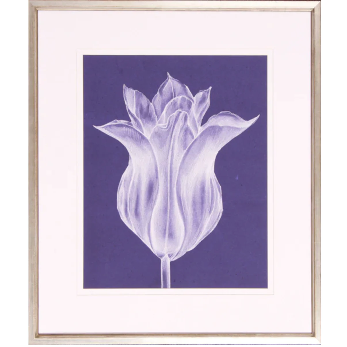 Monochrome Tulip III