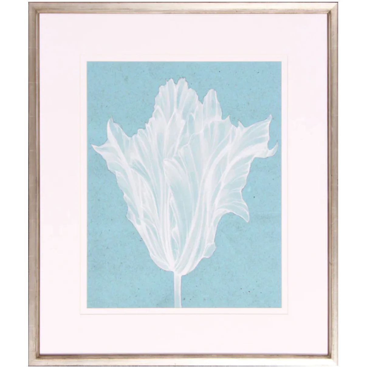 Monochrome Tulip V