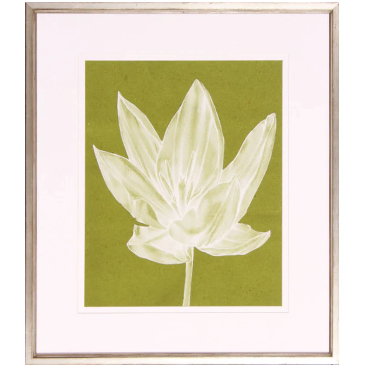 Monochrome Tulip VI