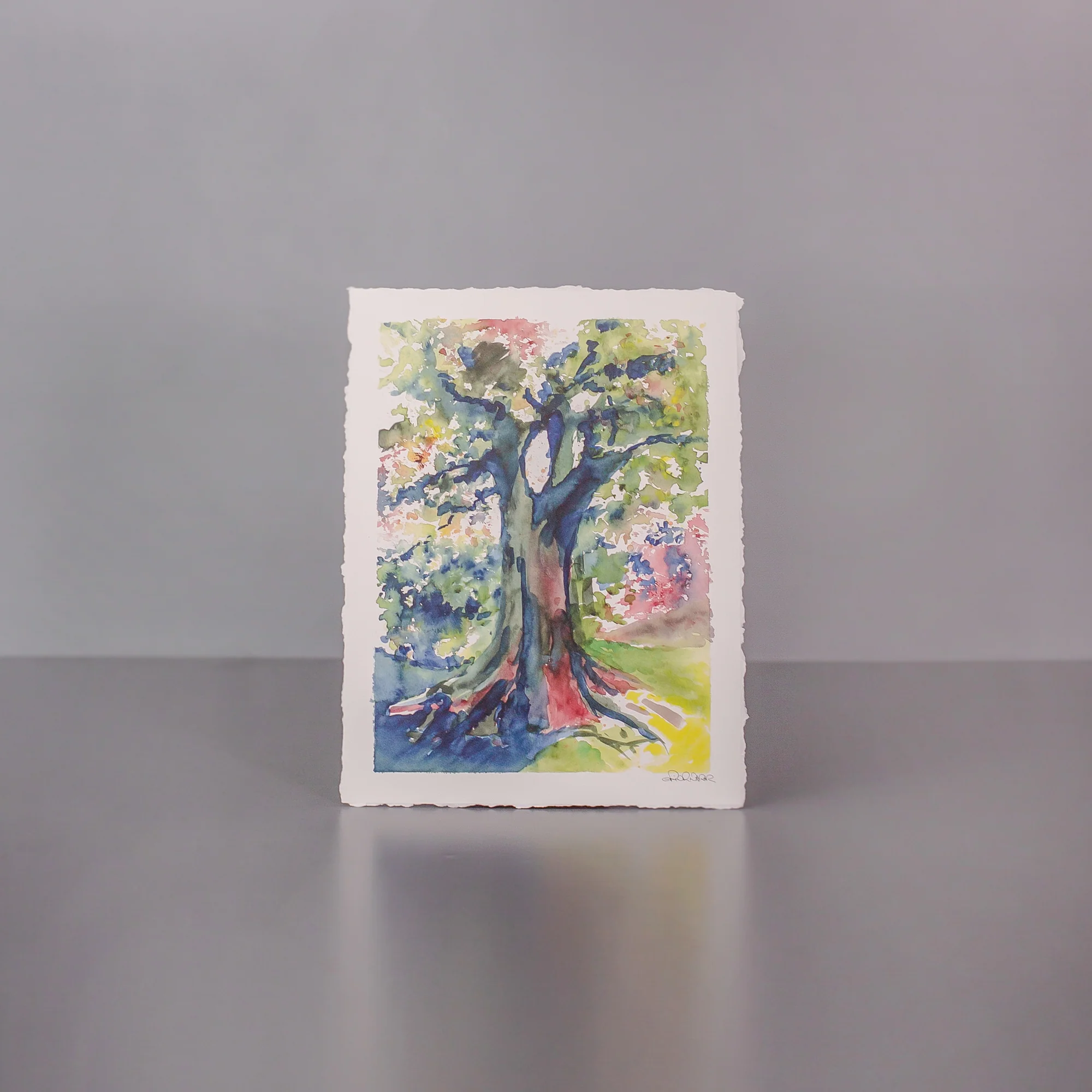 Oak Tree Watercolor