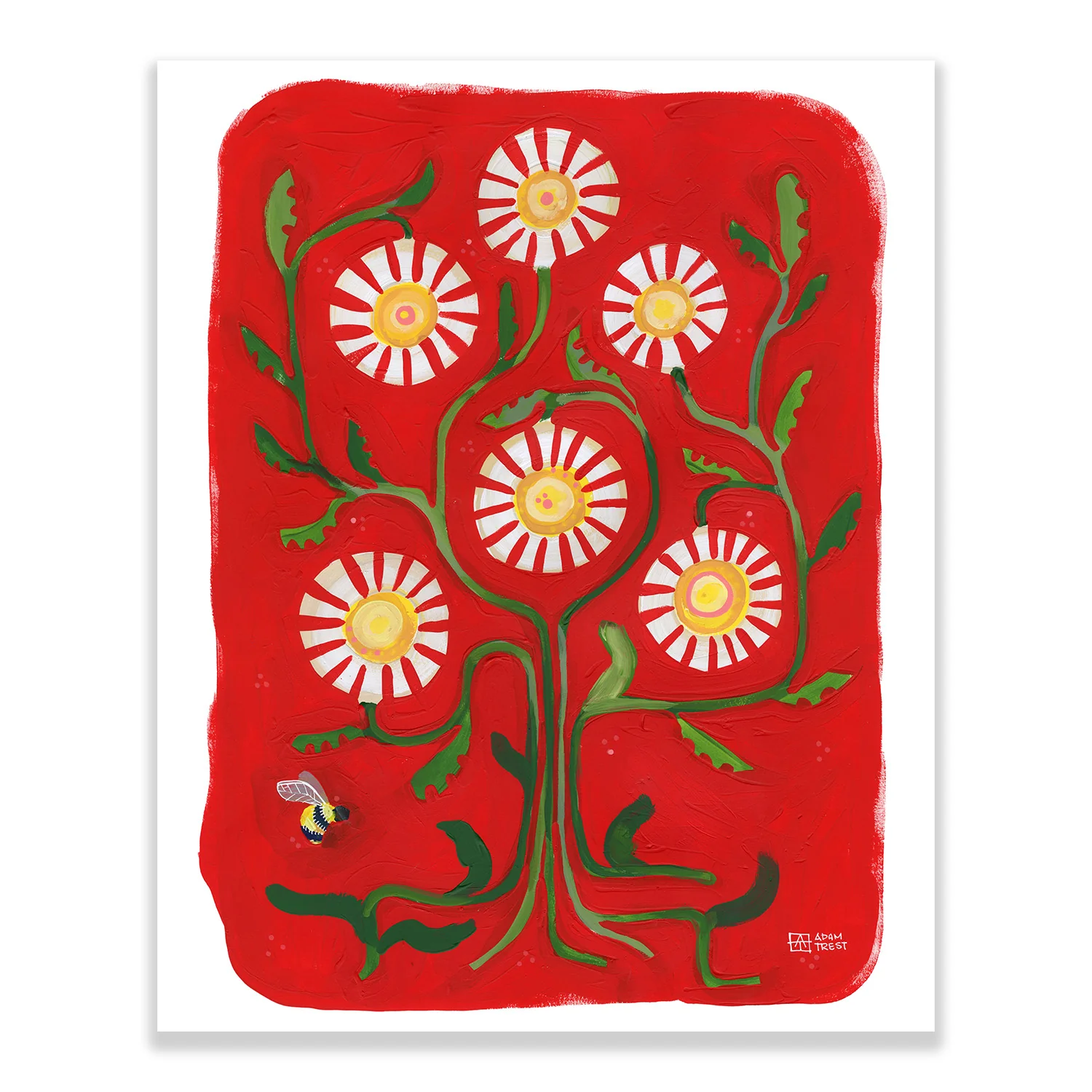Adam Trest Backyard Bouquet | Mary's Daisies Print