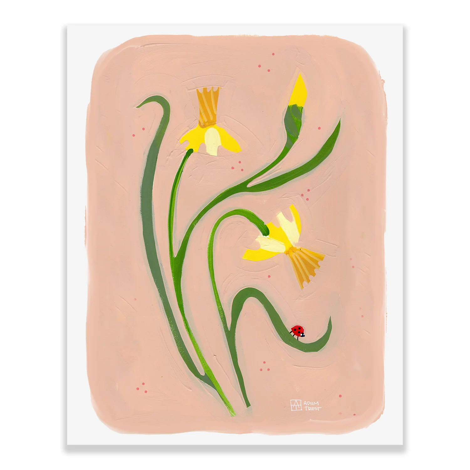 Adam Trest Backyard Bouquet | Jonquils in Pink Print