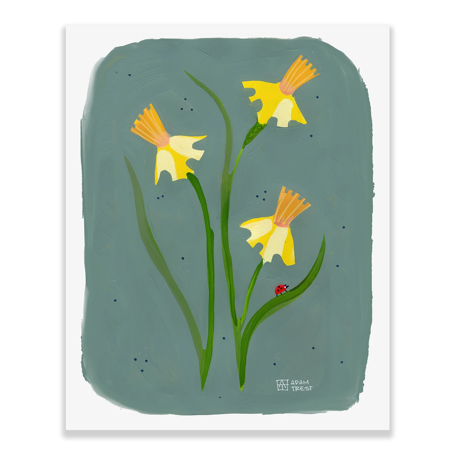 Adam Trest Backyard Bouquet | Jonquils in Blue Print