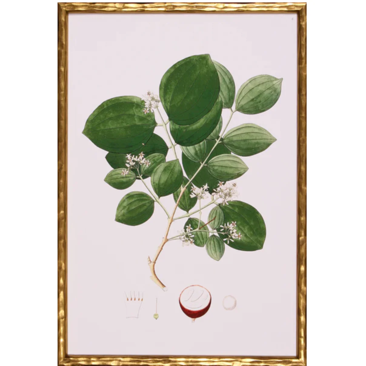 Spring Green Foliage I