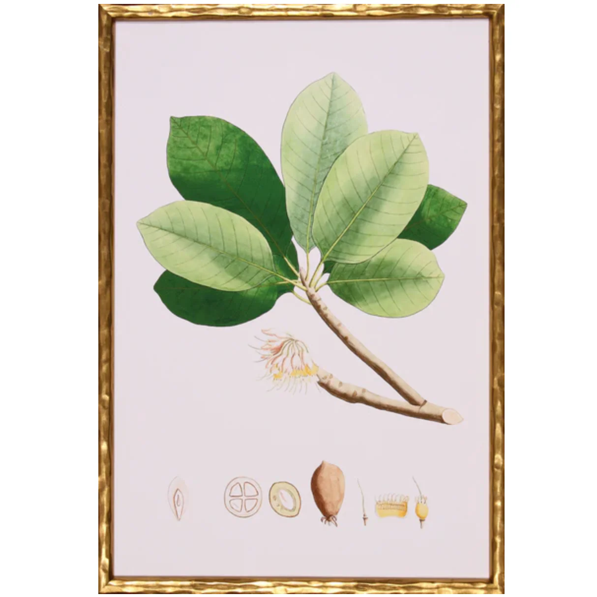 Spring Green Foliage II