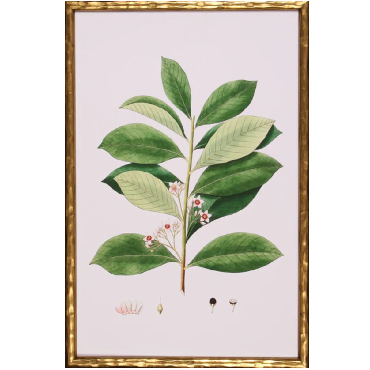Spring Green Foliage III