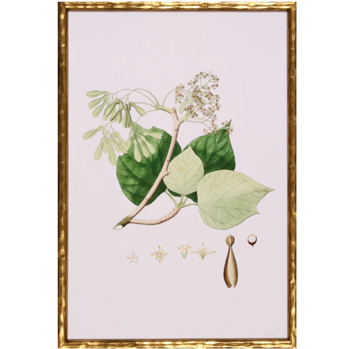 Spring Green Foliage IV