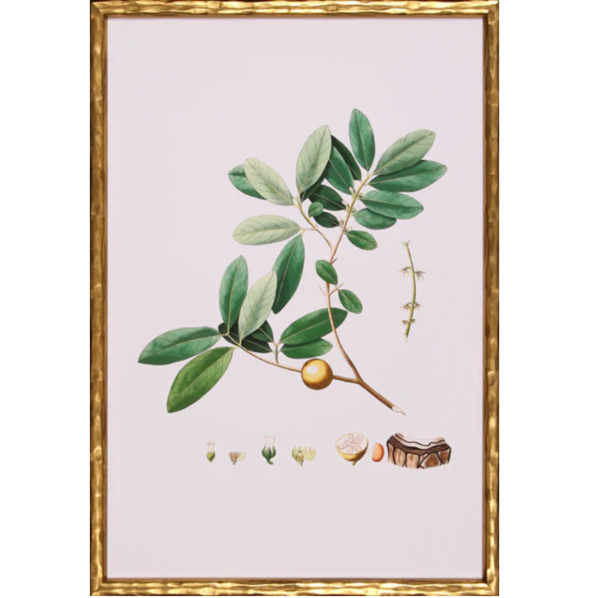 Spring Green Foliage VII