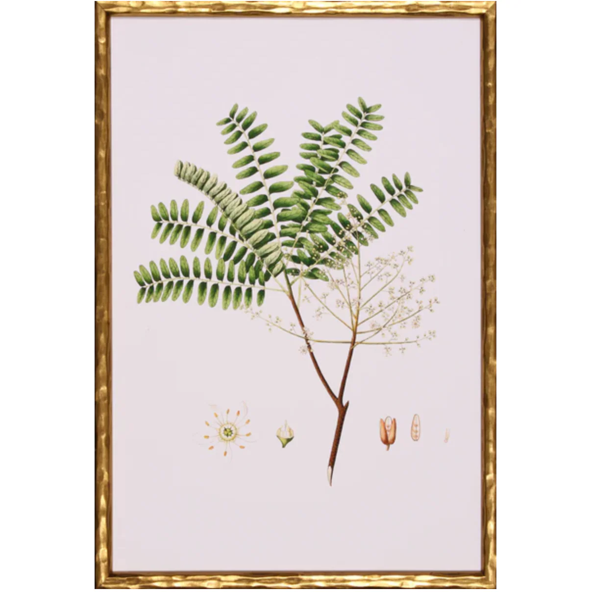 Spring Green Foliage VIII