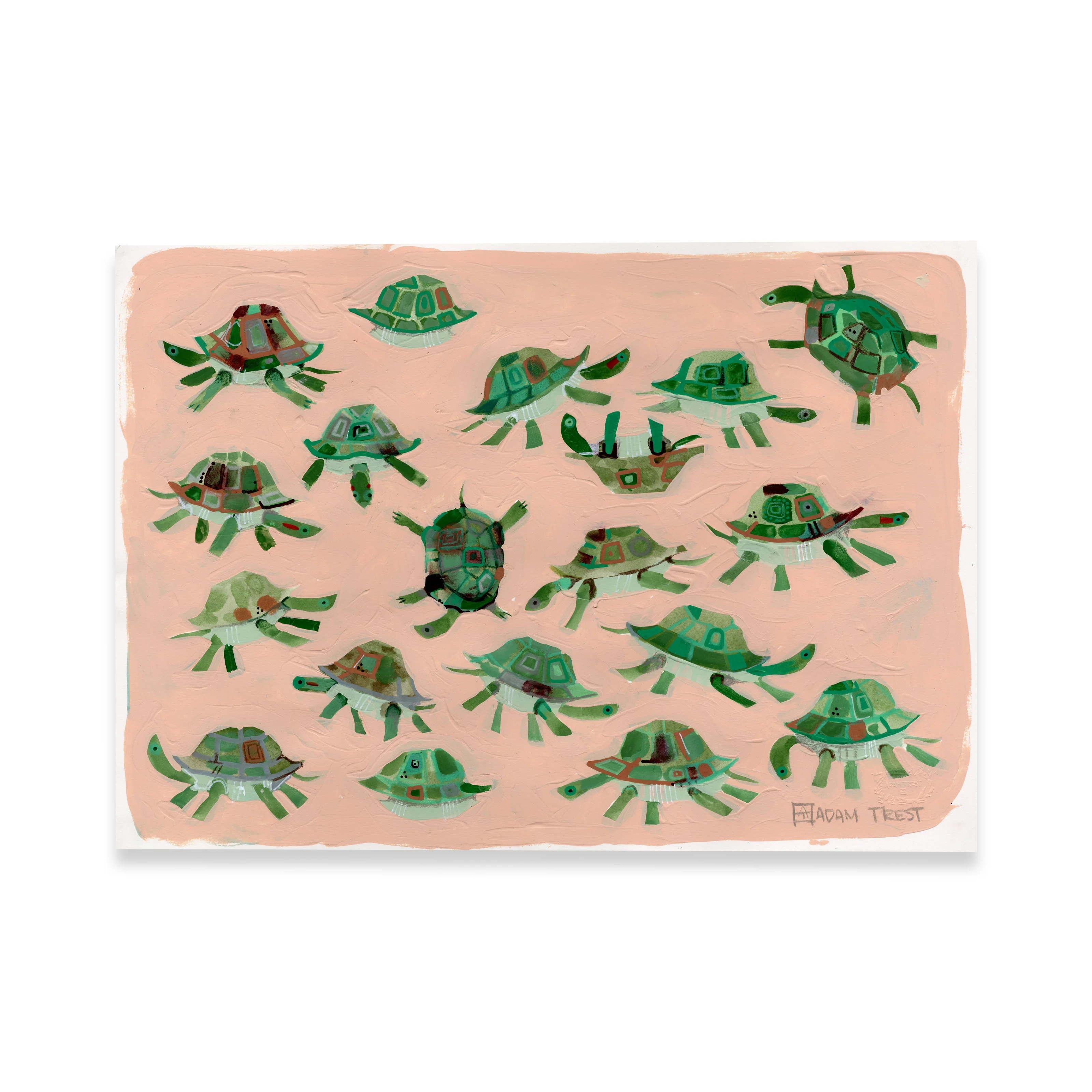 Adam Trest The Studies | Slow and Steady