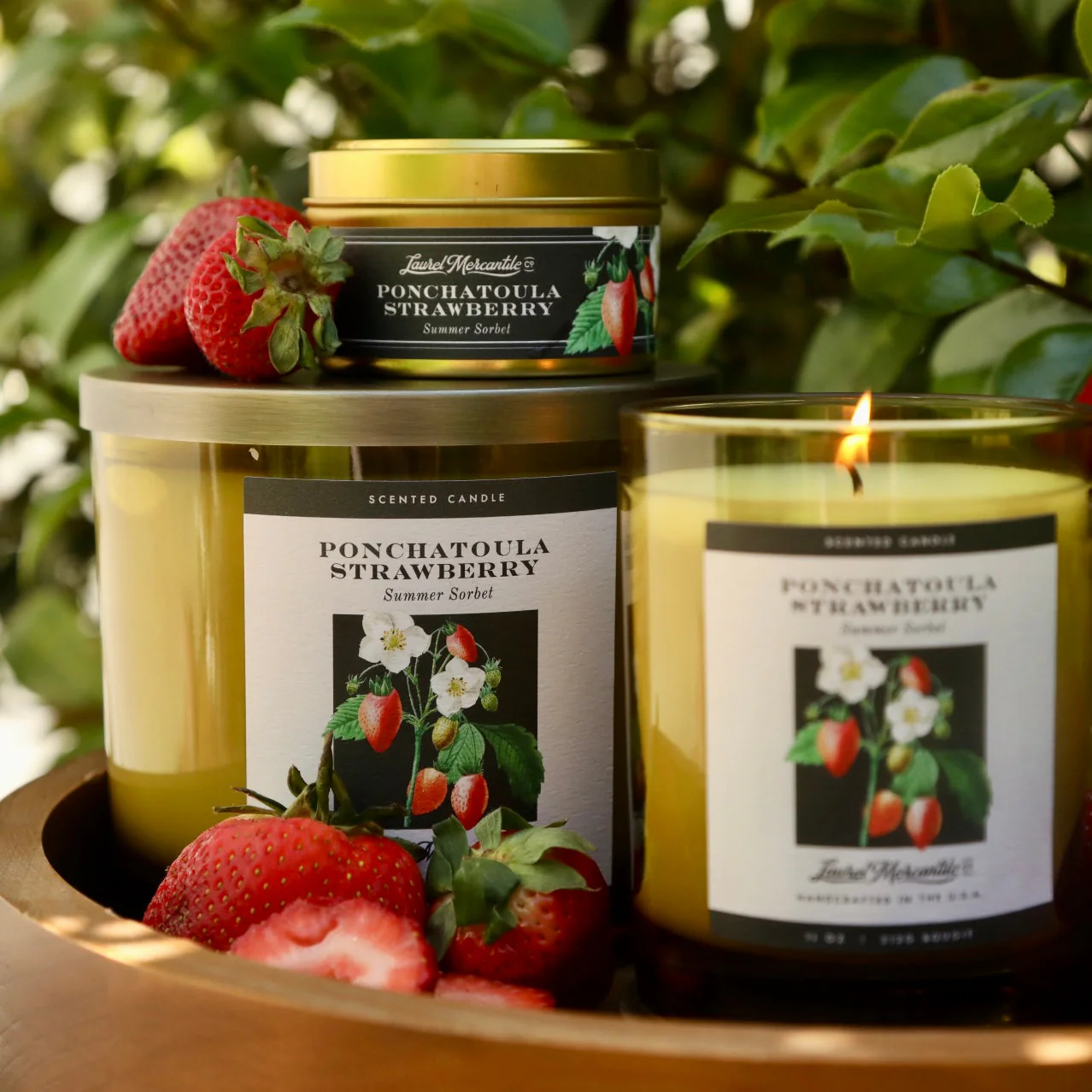 403-ponchatoula-strawberry-candle-1.webp