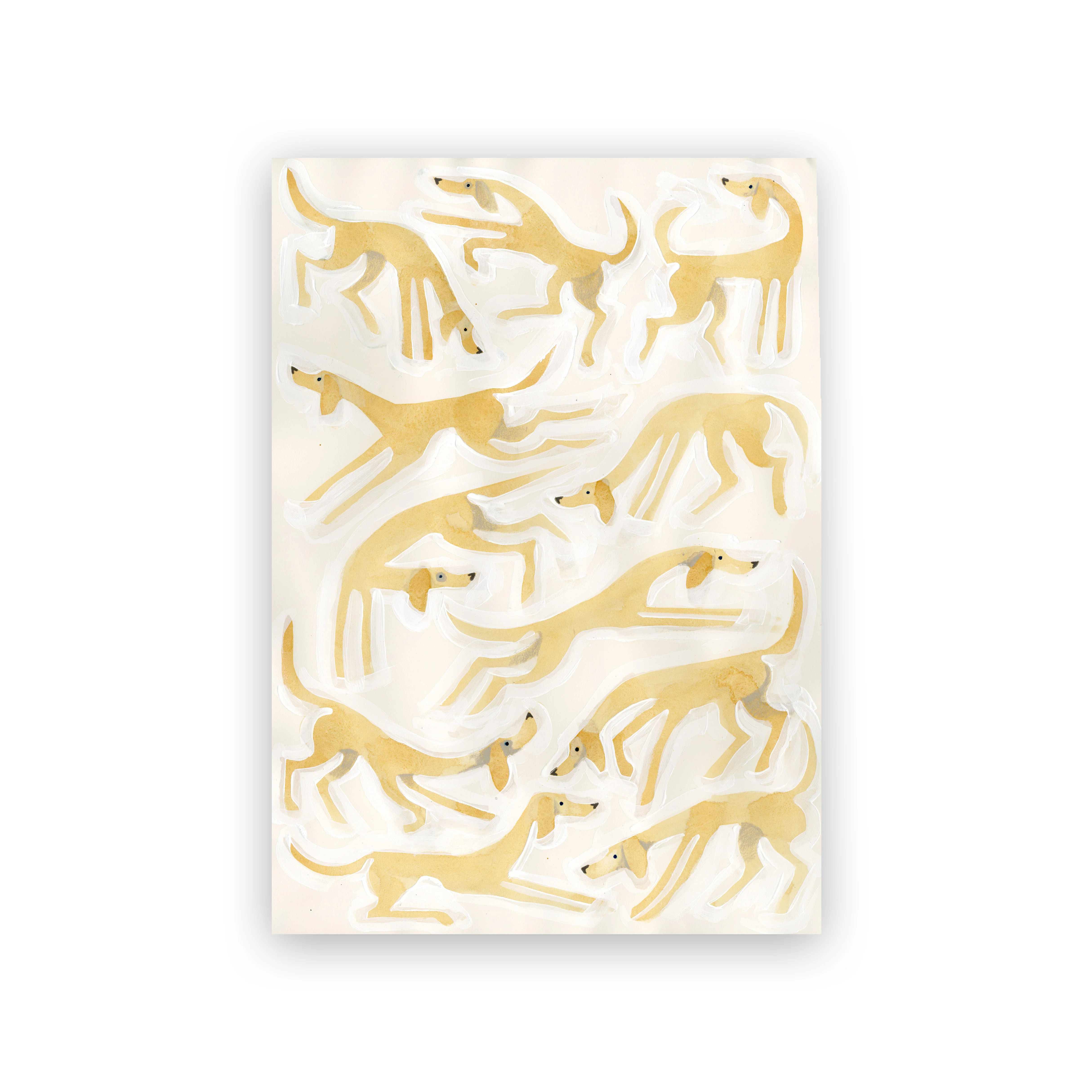 Adam Trest The Studies | Yella Dogs