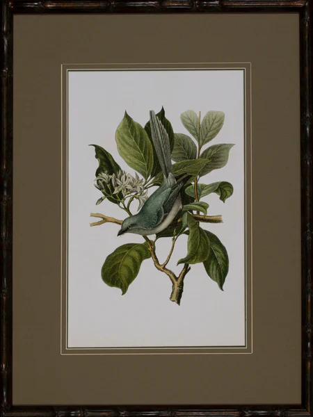 Antique Bird Trio II