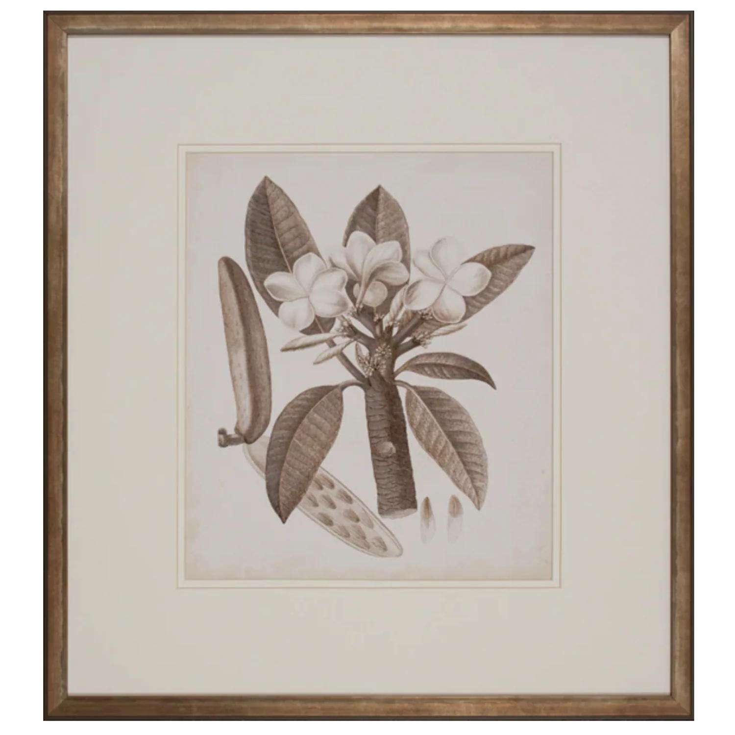Antique Sepia Botanical VII