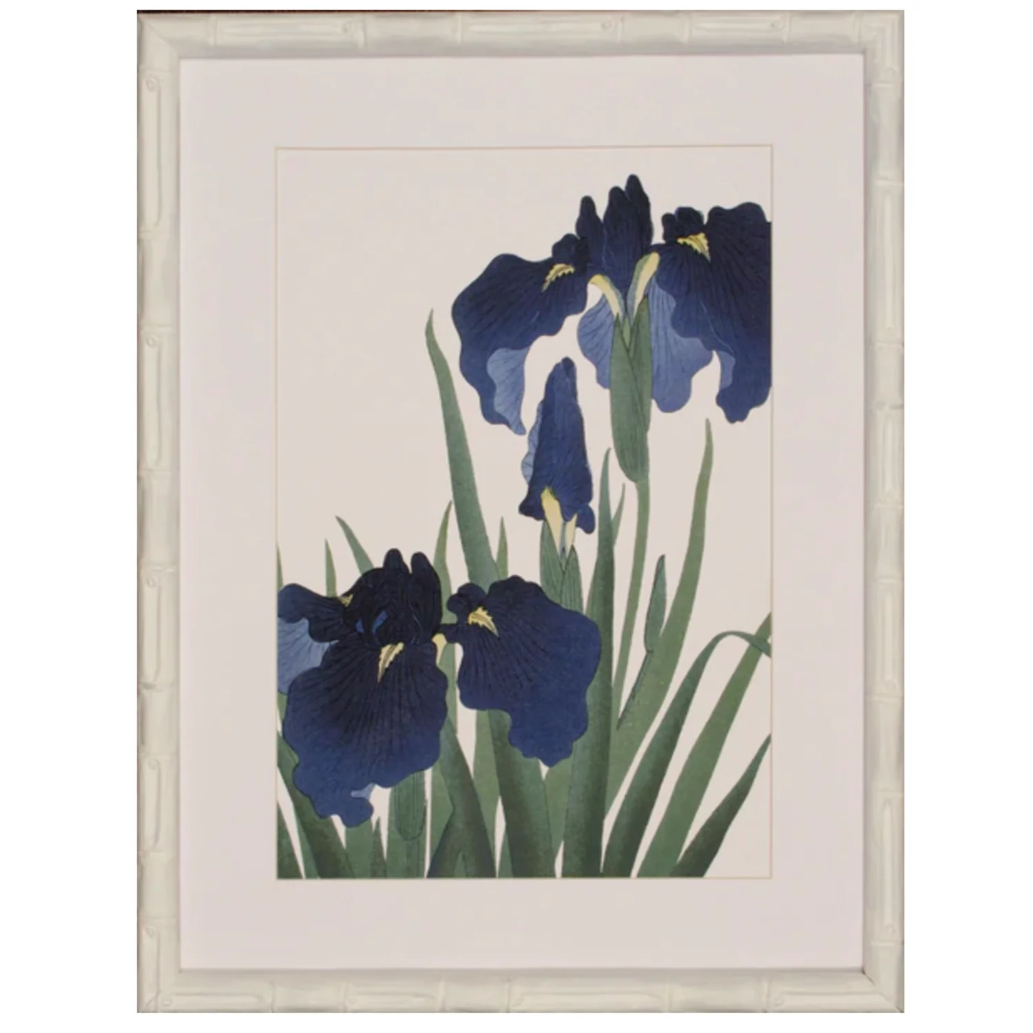 Blue Iris