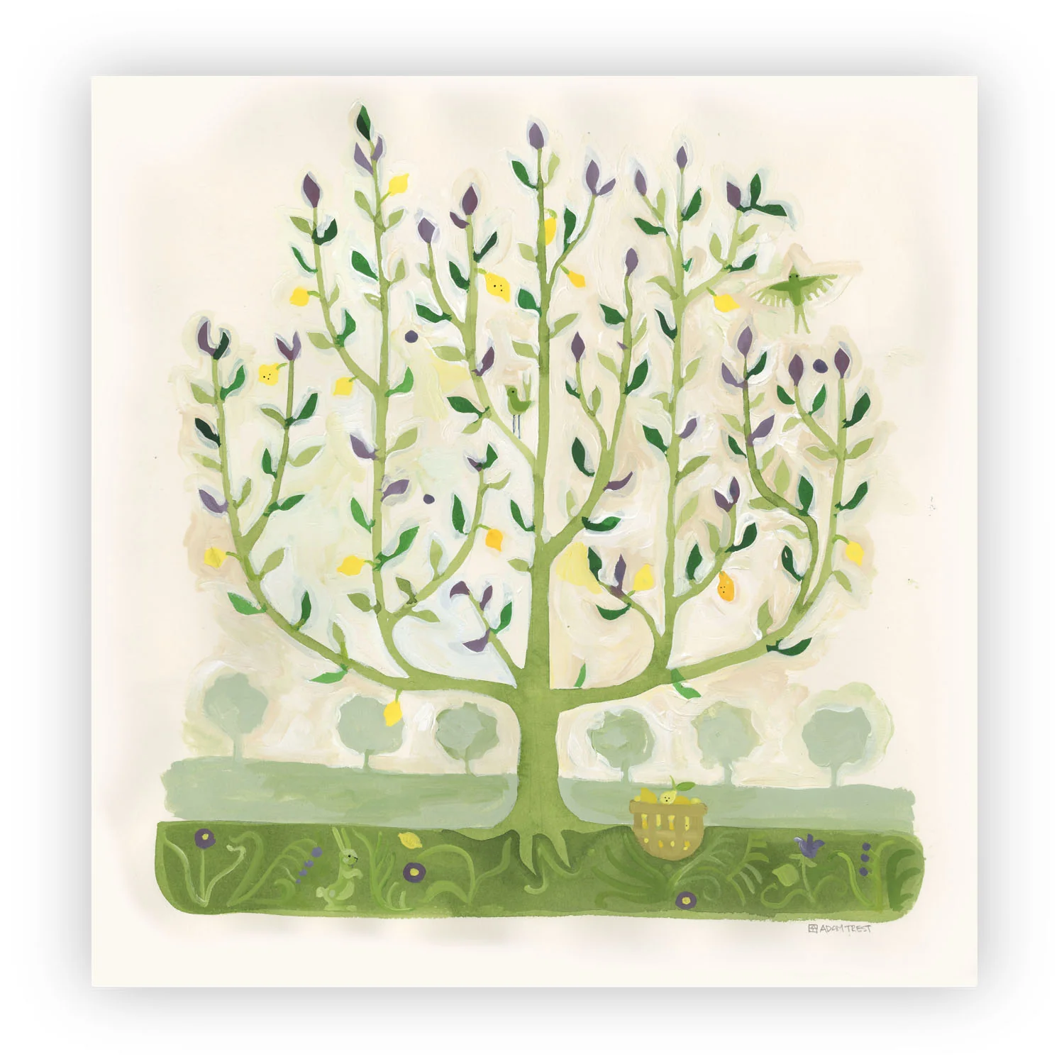 Adam Trest | Tart
